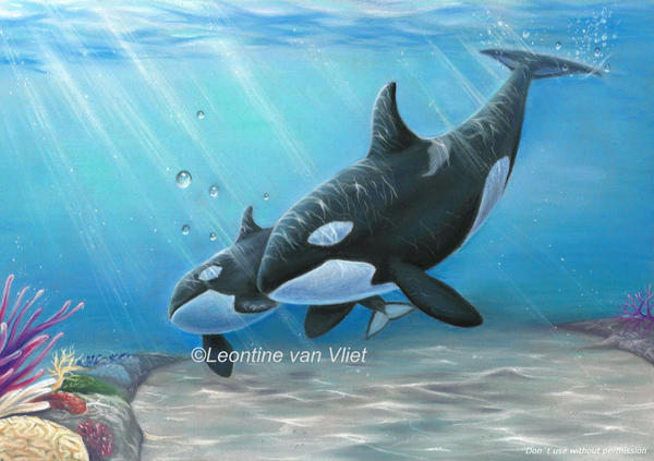 Orcas! Pastel pencil drawing