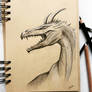 dragon sketch