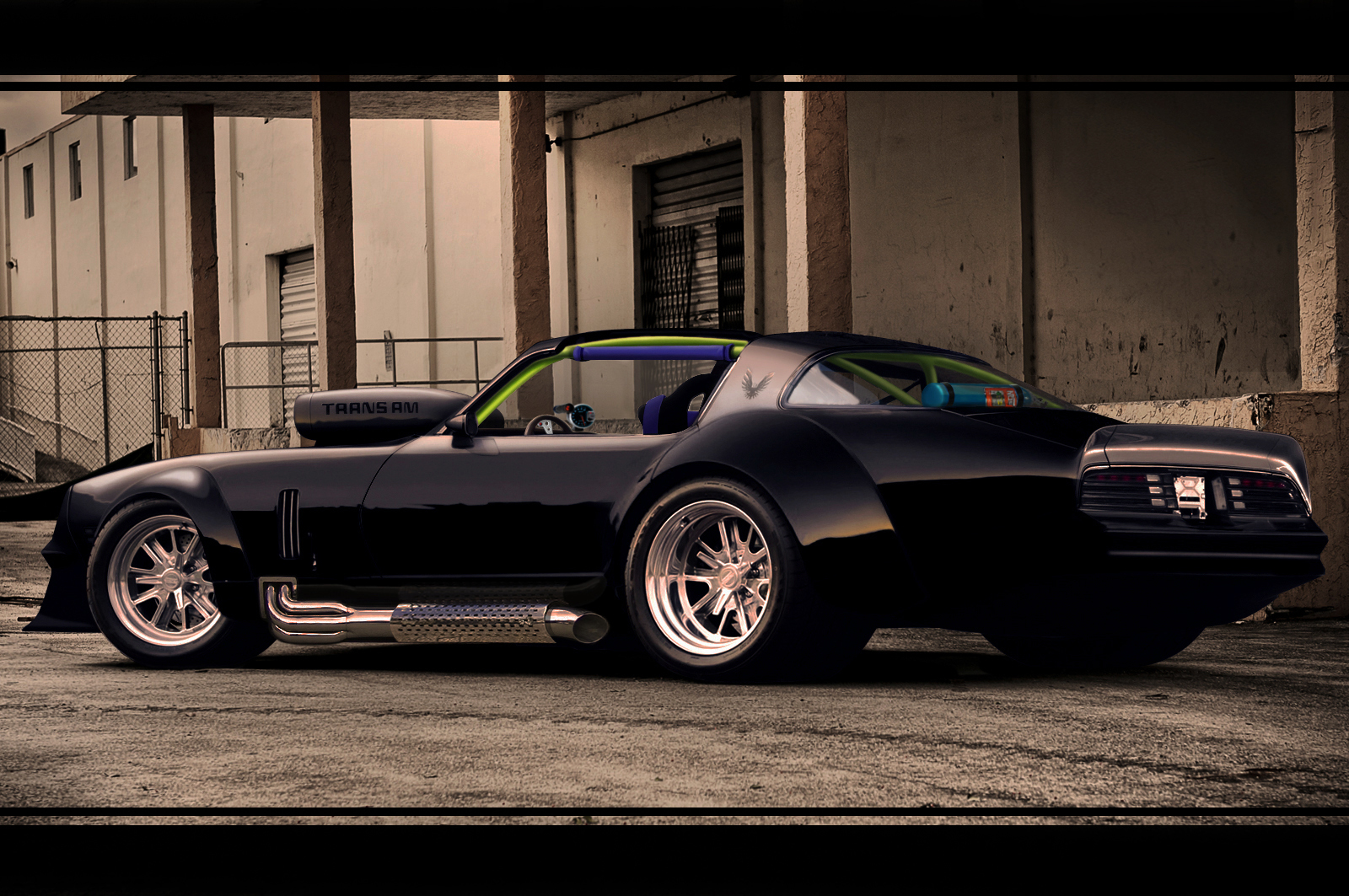 TRANS AM BLACK DOG