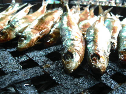 Dried Fishes