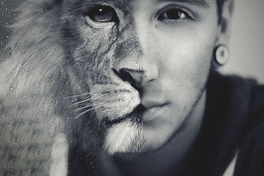 Don't run from who you are. - Aslan