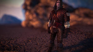 the Witcher 2 wallpaper 07