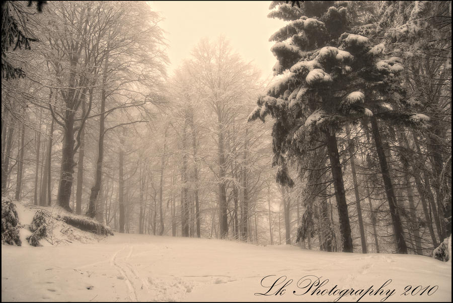snow dreams of winter III by Lk-Photography