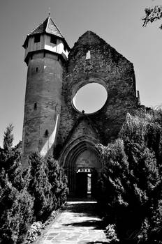 Cisterican Monastery Carta