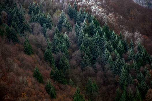 solders in winter