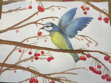 Watercolor bird