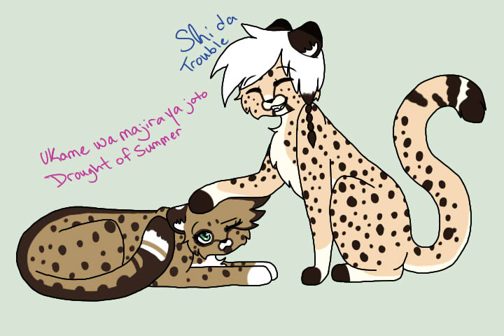 WakalixShetani Hypocubs | VDay contest