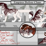 Amadeus the Peacekeeper | EBC