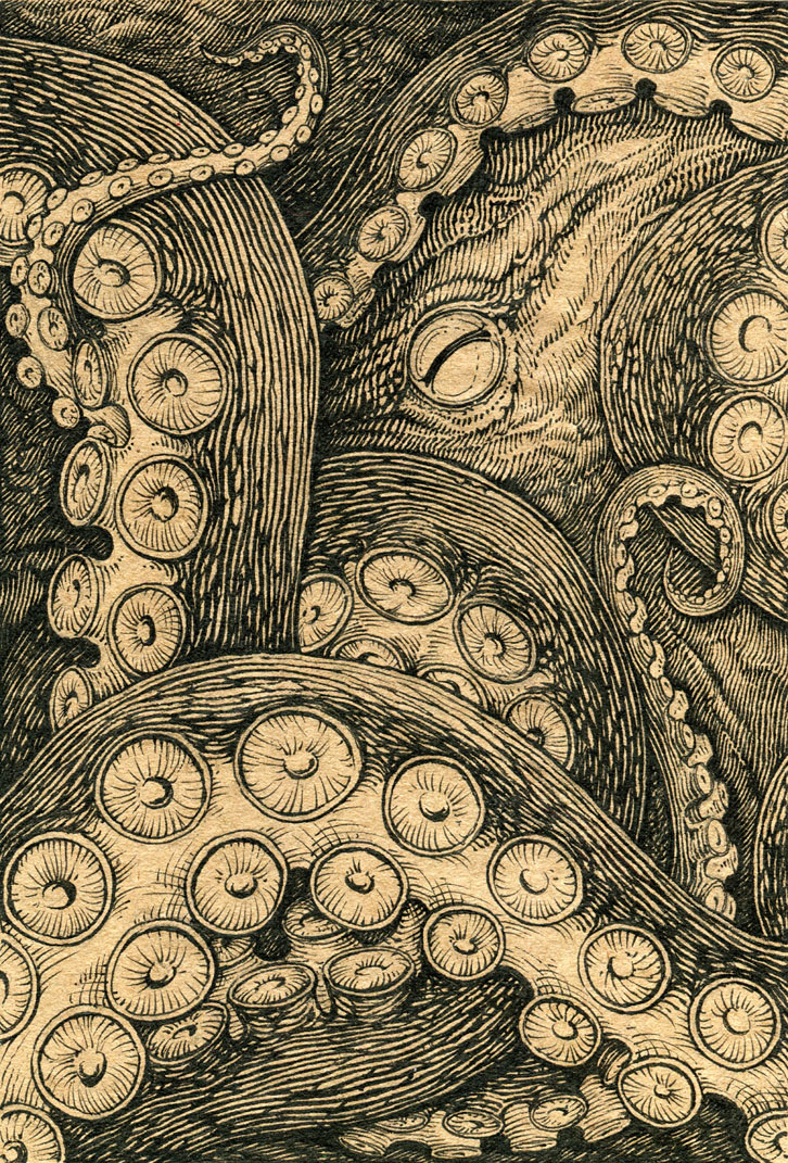 Octopus by Skirill