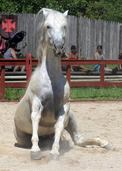 Andalusian Sit