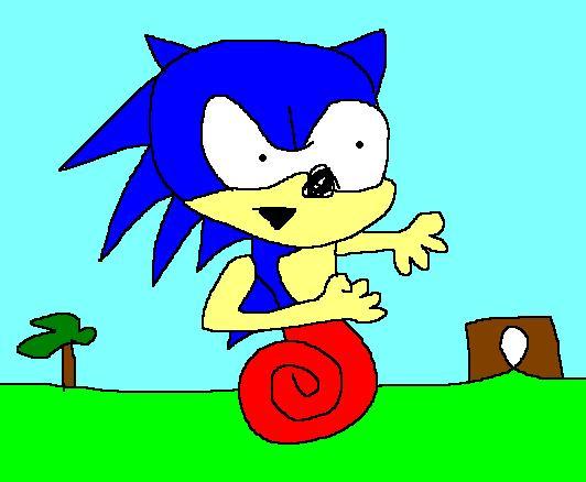 Sonic the hedgehog