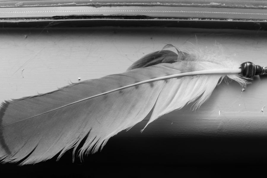 Feather