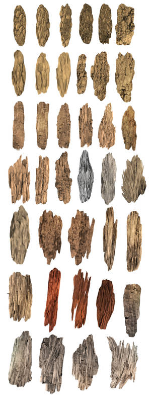 Wood Brushes sample