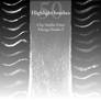 Highlight brushes