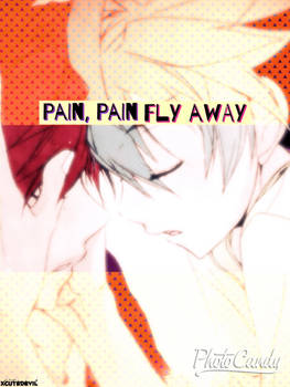 Pain, Pain Fly Away