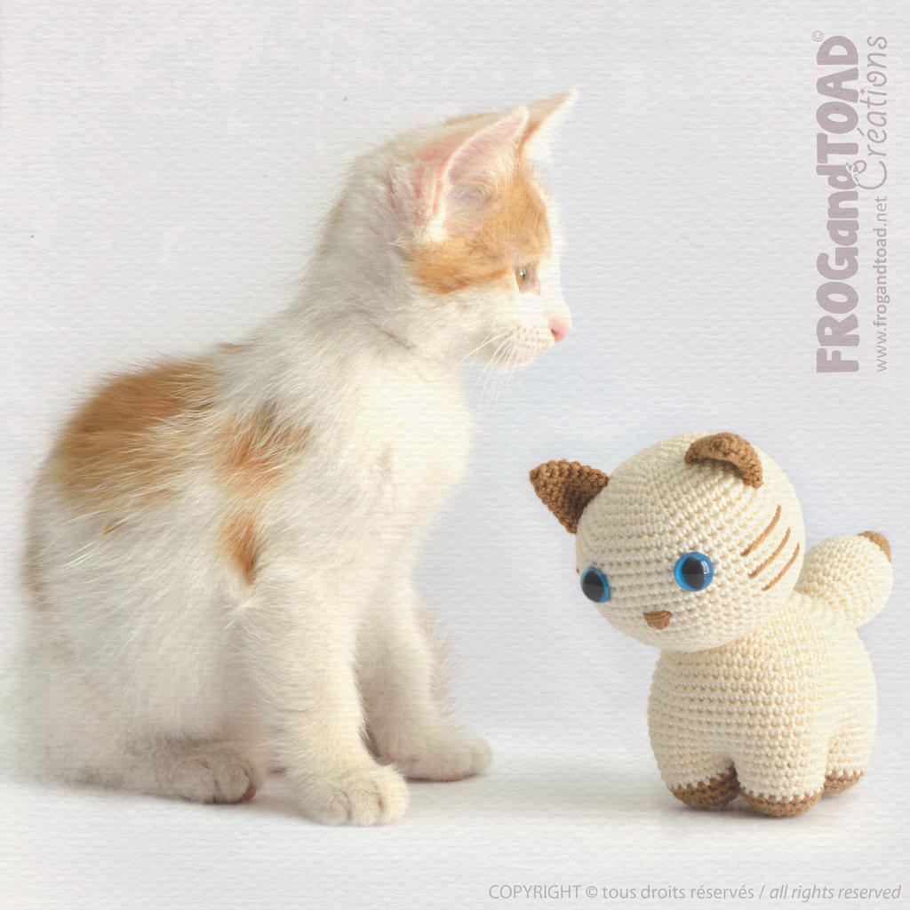 Chat Chaton Cat Kitty Amigurumi Crochet By Frog And Toad On Deviantart Chat Chaton Cat Kitty Amigurumi Crochet By Frog And Toad On Deviantart