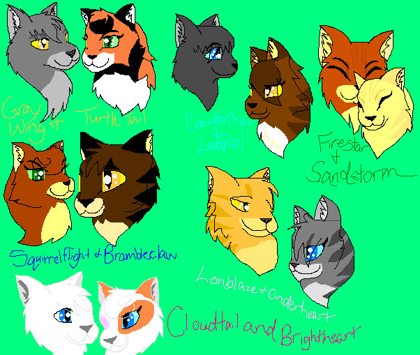 Top 10 She-Cats in Warrior Cats 