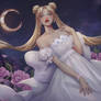 Princess Serenity. Sailor Moon