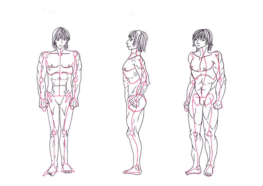 Male Body 2