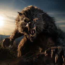 Werewolf Attacks