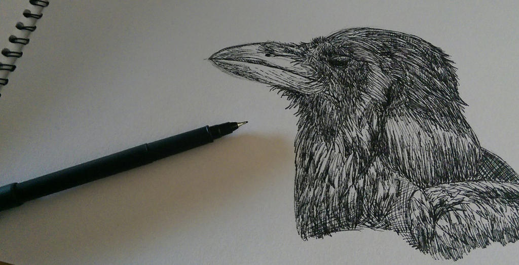 Ink Raven Ink Raven by Deep6Howl on DeviantArt