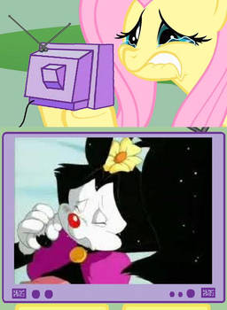 Fluttershy Meme: Dot Dies