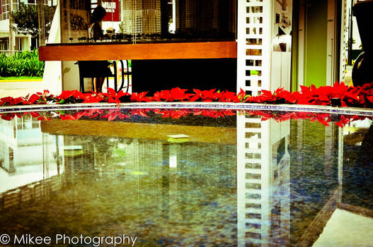 serendra's fountain