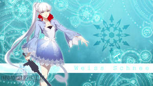 Rejecting Team Rwby X Male Reader