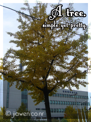 Simply Tree