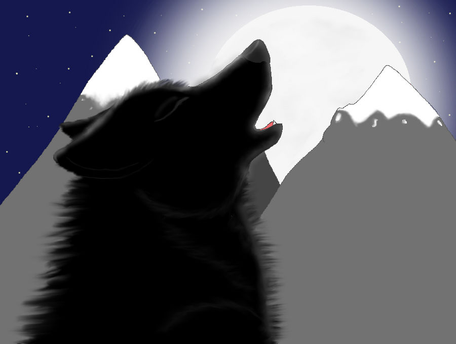 black wolf howling by susitypy95 on DeviantArt