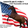 American Flag Horse Manip