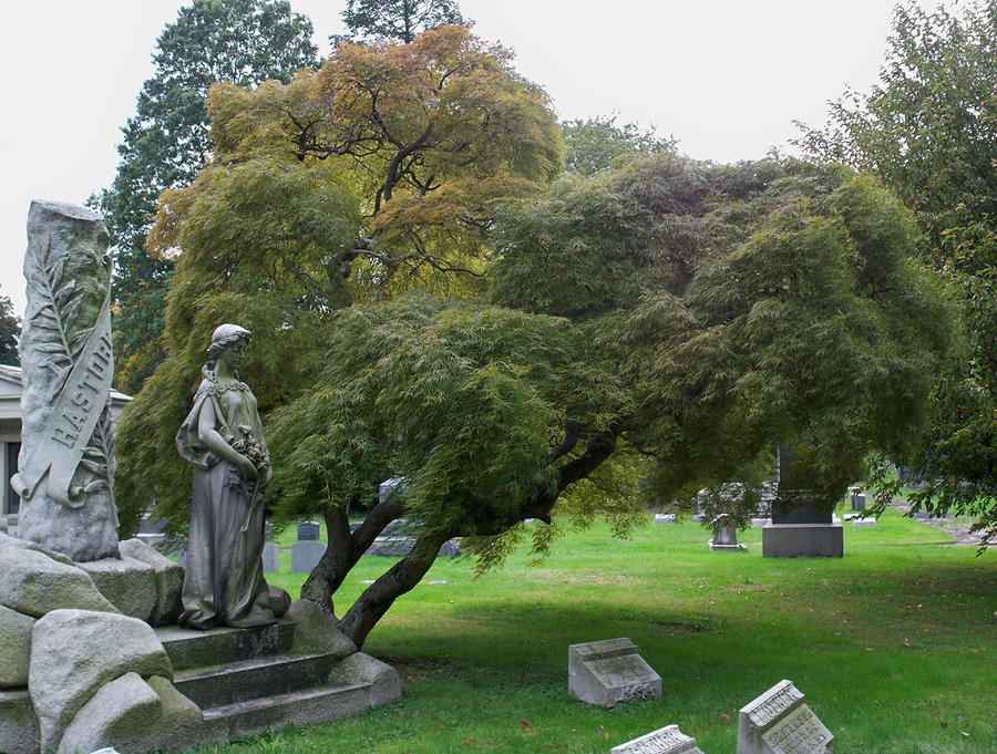 Hastorf Tree by viridian5 on DeviantArt