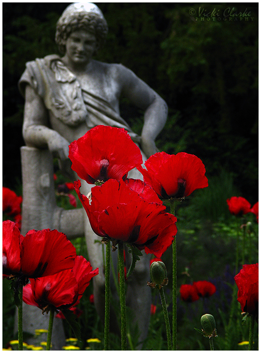 crimson and stone.