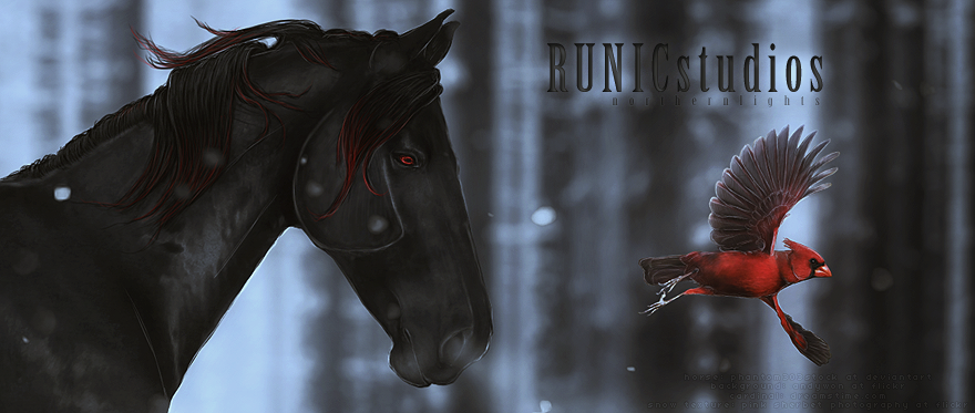 Cardinal RUNICStudios Banner