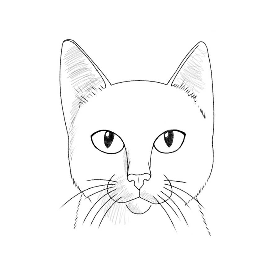 Cat Head Drawing Attempt by MasterXepher97 on DeviantArt