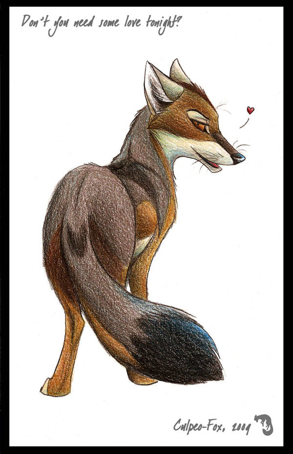 Don t you need some love... by Culpeo-Fox