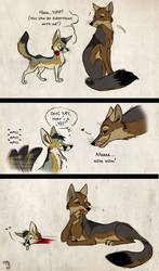 Kit Fox Tragedy