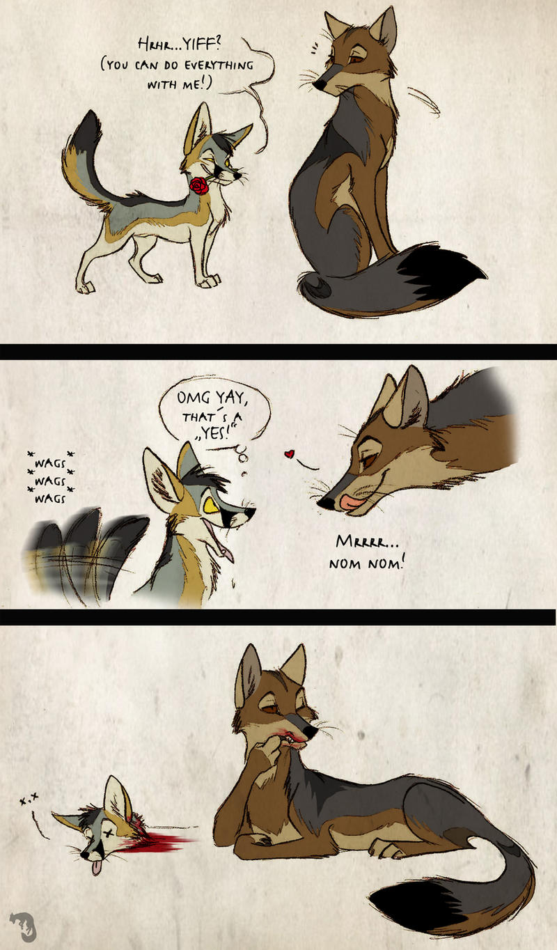Kit Fox Tragedy by Culpeo-Fox