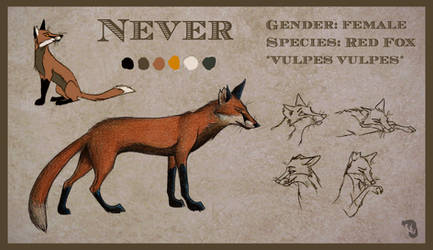 Never