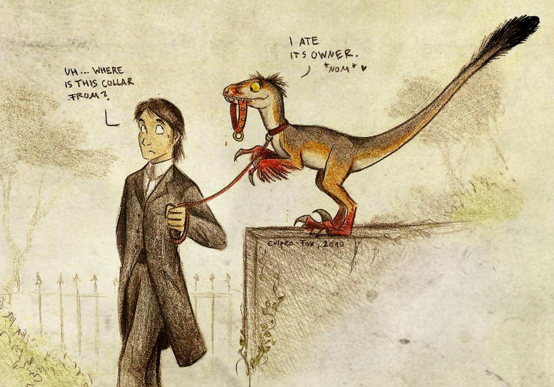 Pet Raptor by Culpeo-Fox on DeviantArt