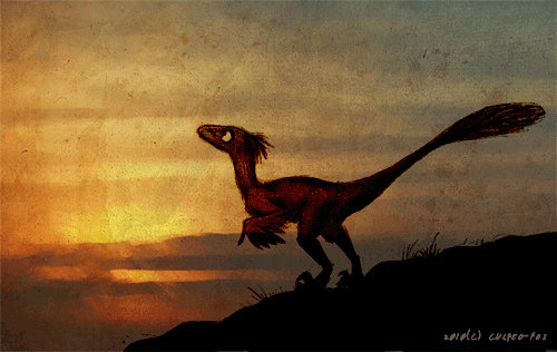 Raptor Animation: Evolution by Culpeo-Fox on DeviantArt