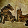 Clouded Leopard. Ocelot.