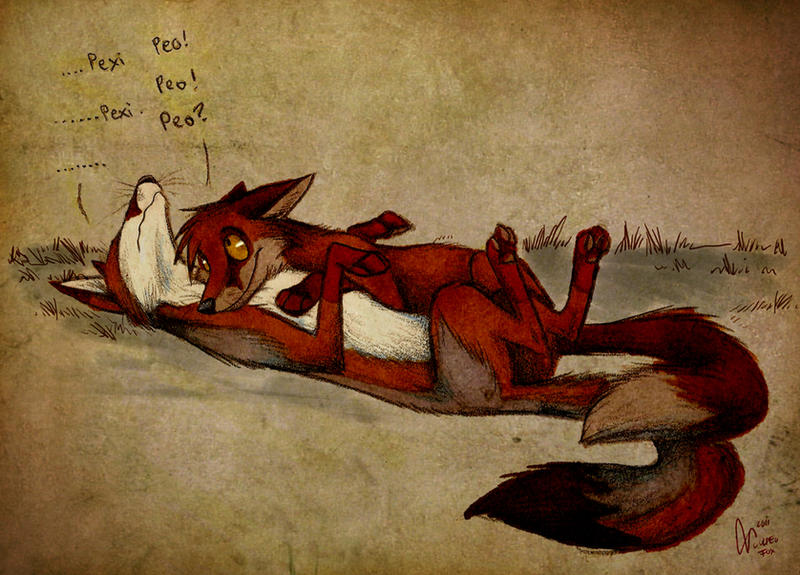 Insomnia by Culpeo-Fox