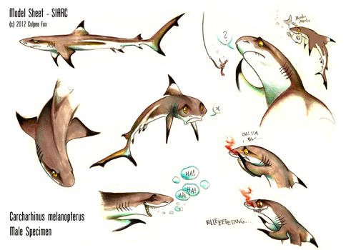 Blacktip Reef Shark - Sheet Siarc