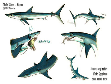 Shortfin Mako Shark - Sheet Kappa