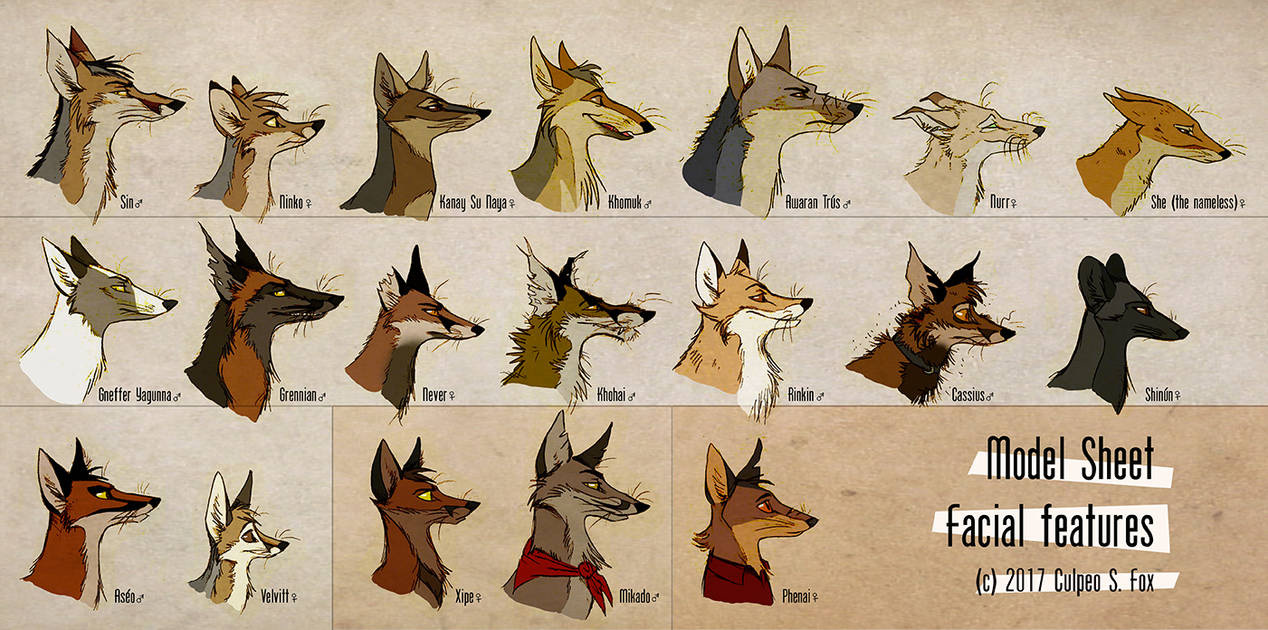 Foxes and facial features by culpeo fox