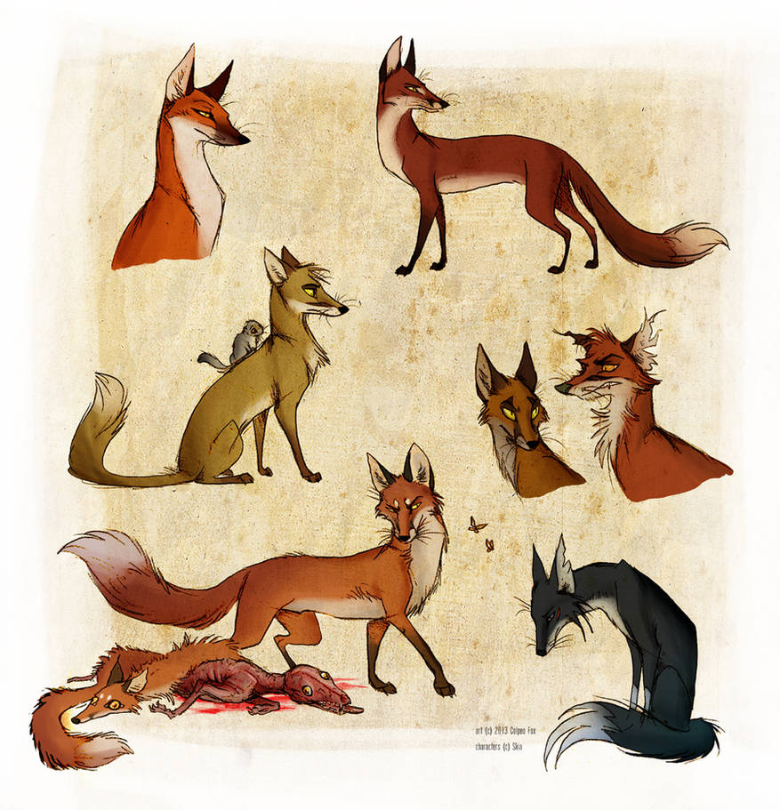 Spuren by Culpeo-Fox