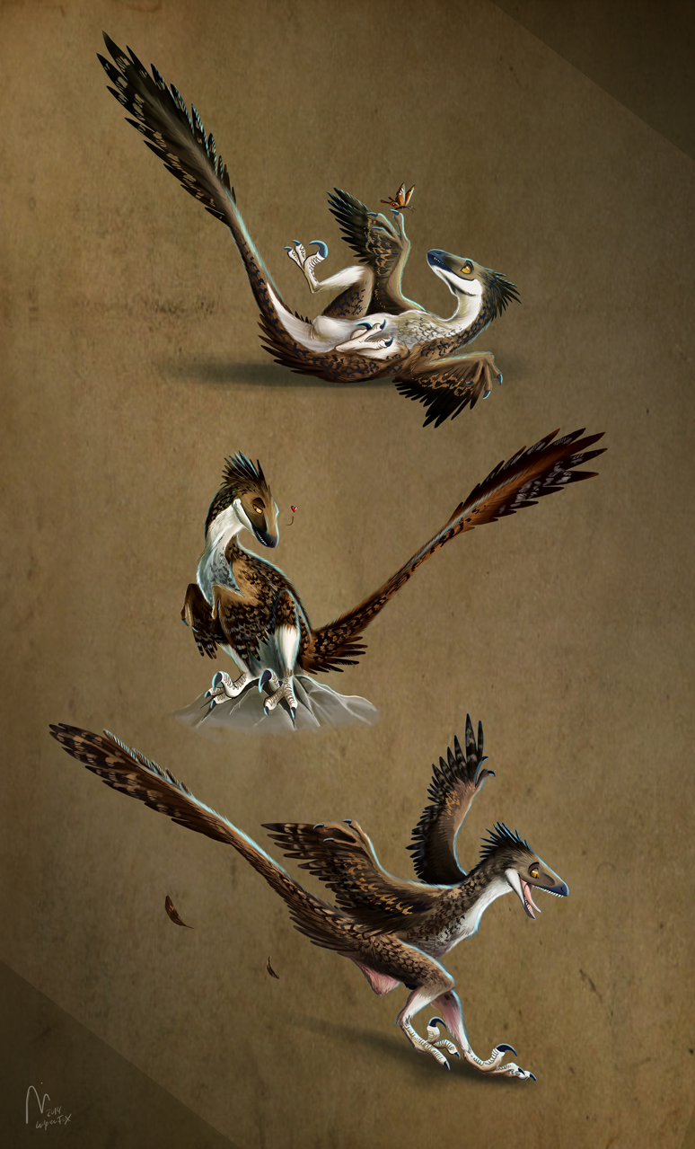 Three Raptors