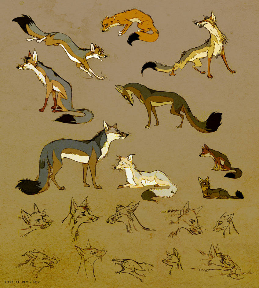 Culpeo foxes by culpeo fox