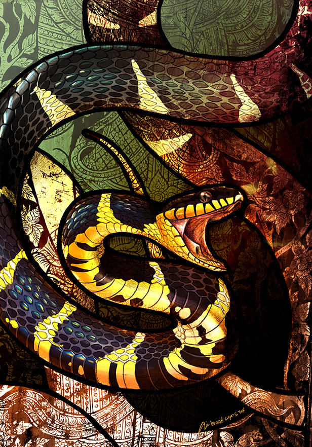 Mangrove Snake By Culpeo Fox On Deviantart